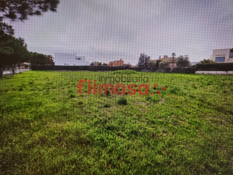 Campodón